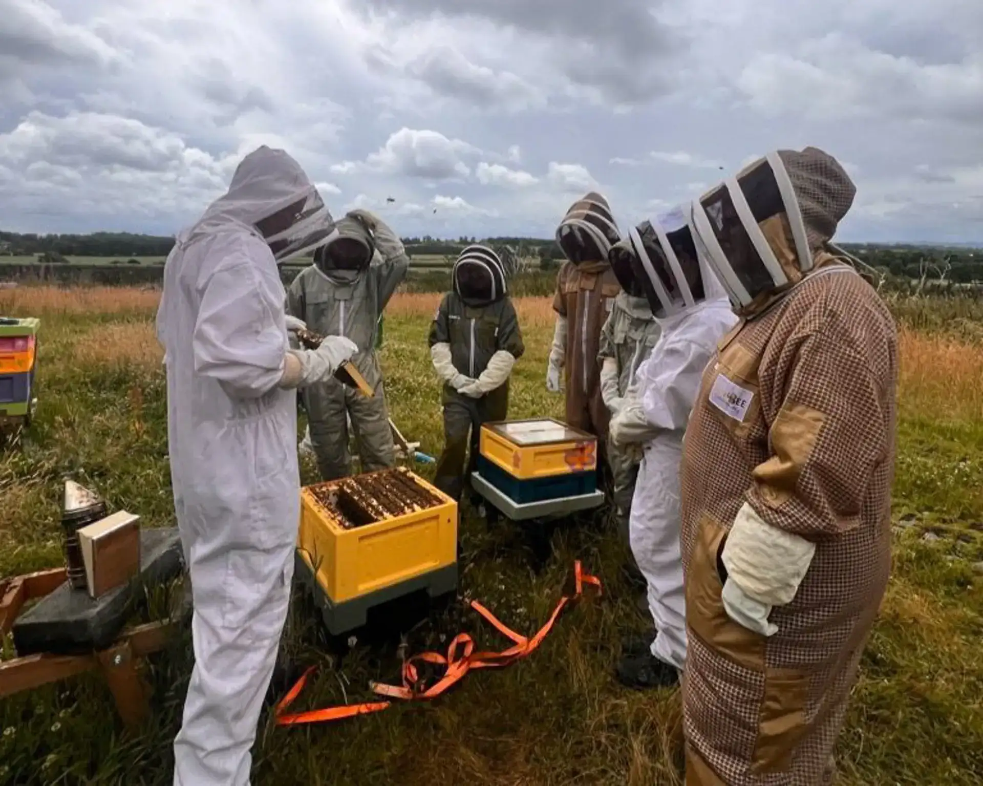 Background image - Beekeeping | Kin Bees Website