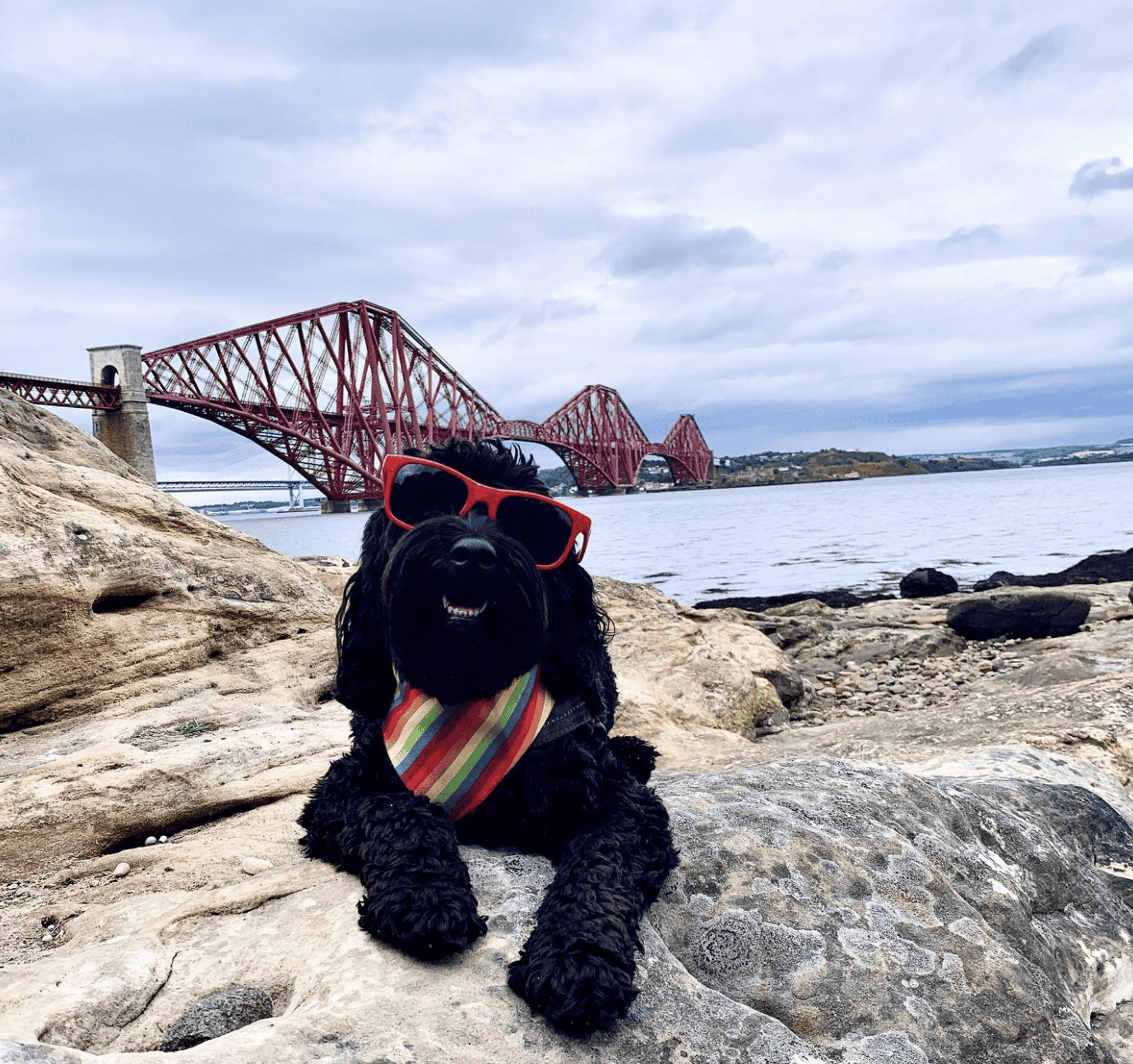 Background image - Lola 1 | Courtesy of lola_queensferry on Instagram