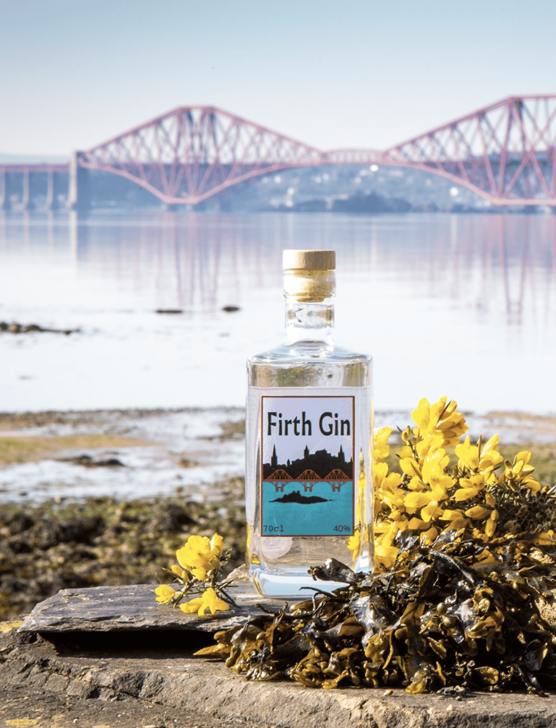 Background image - Firth Gin | Facebook | Caroline Trotter Photography