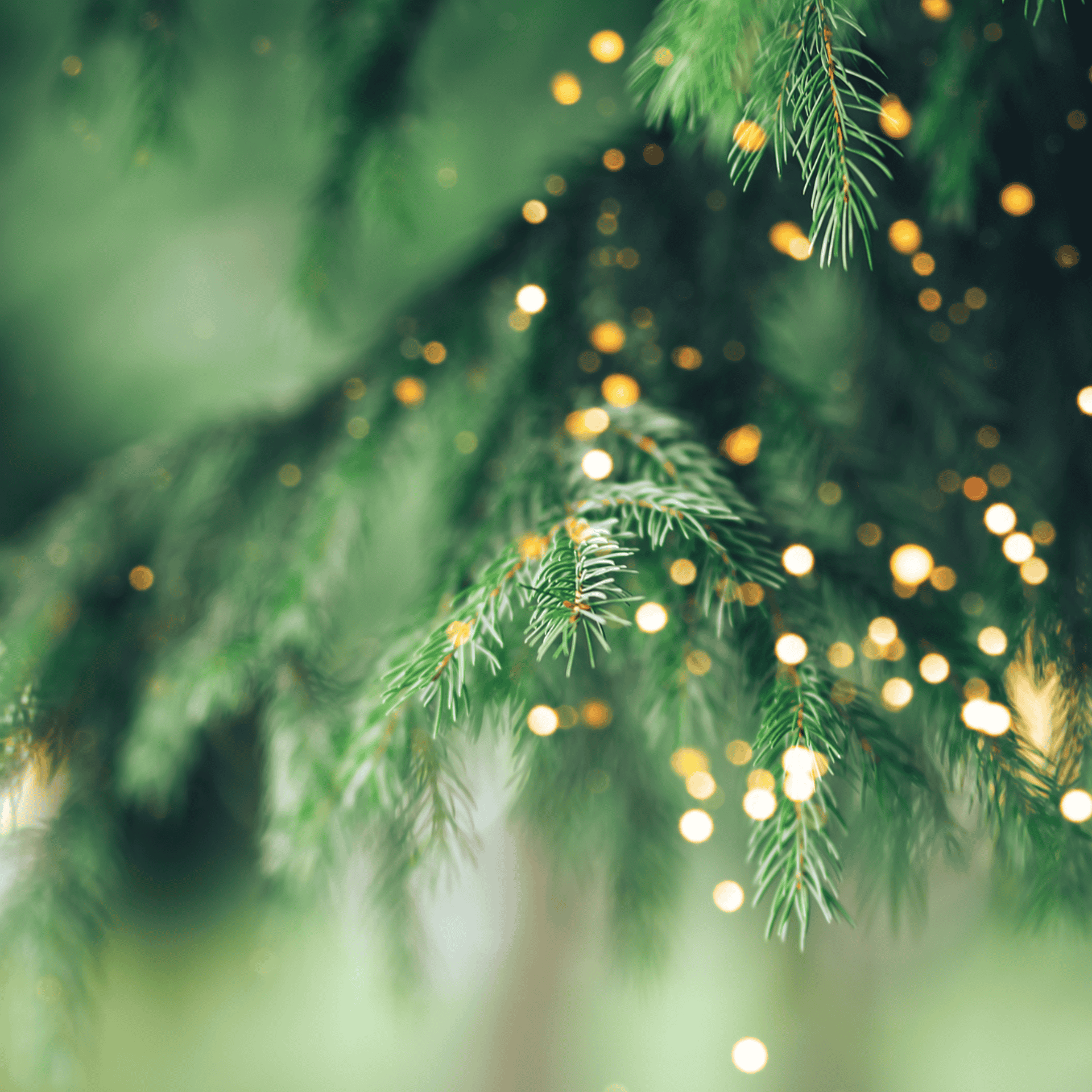 Background image - Christmas 15 | Canva