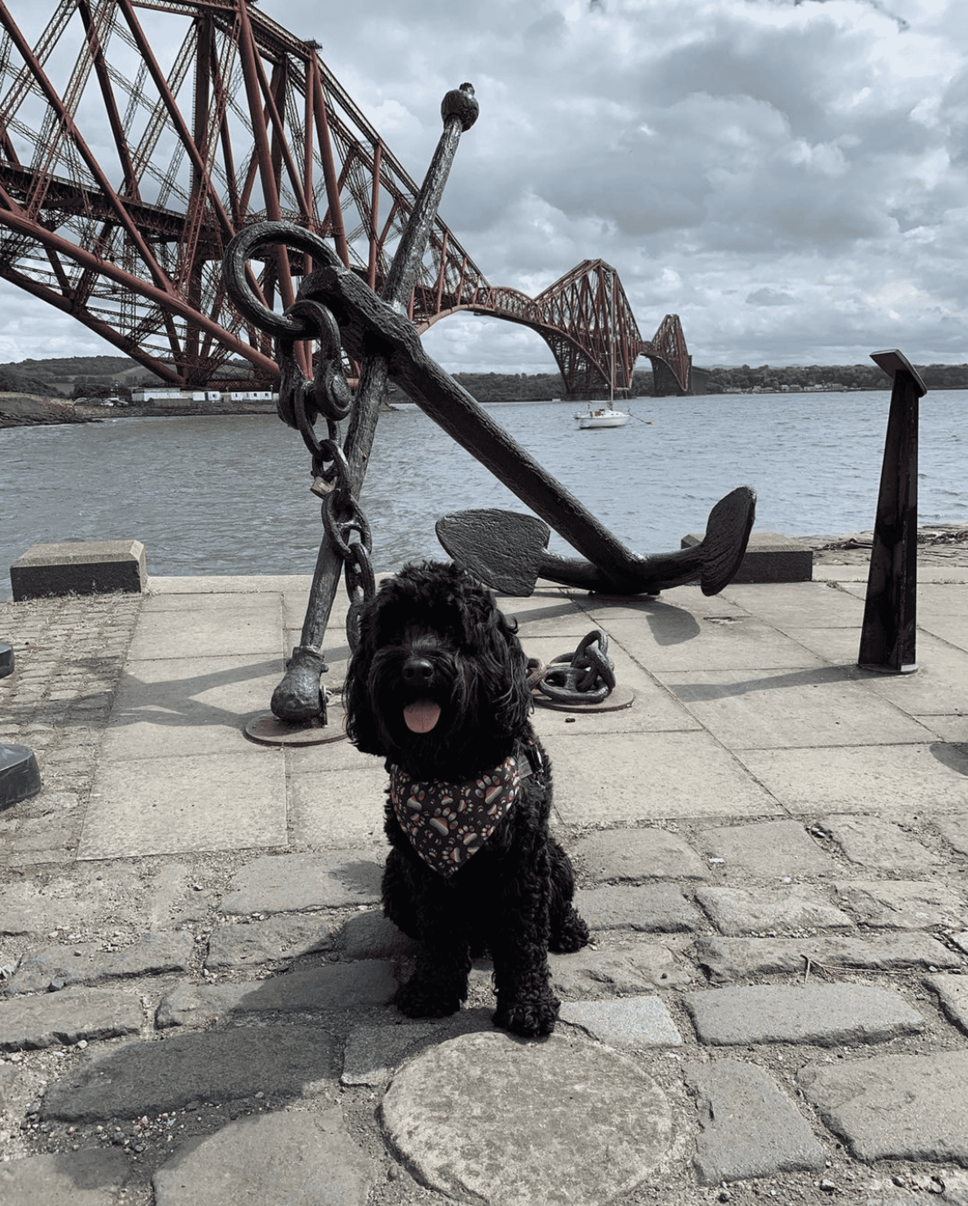 Background image - Lola 2 | Courtesy of lola_queensferry on Instagram