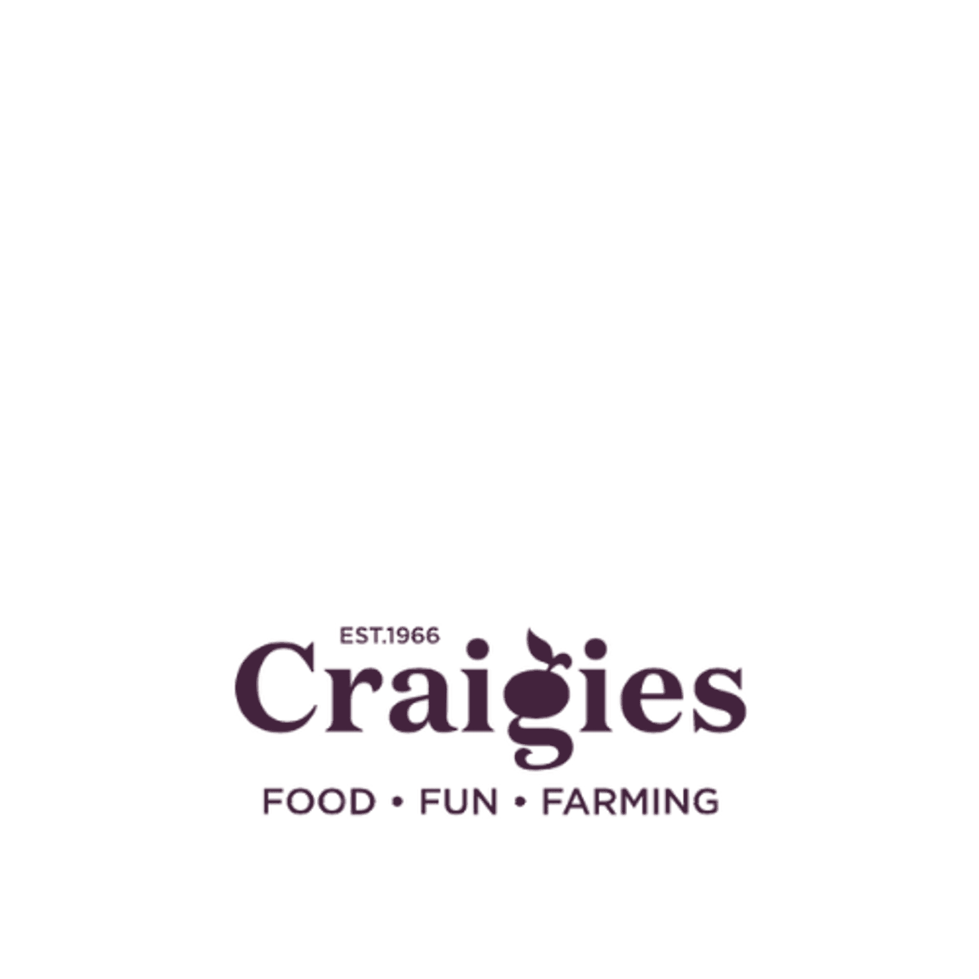 Background image - Craigie's Logo